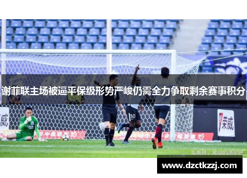 谢菲联主场被逼平保级形势严峻仍需全力争取剩余赛事积分