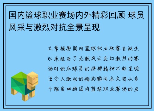 国内篮球职业赛场内外精彩回顾 球员风采与激烈对抗全景呈现