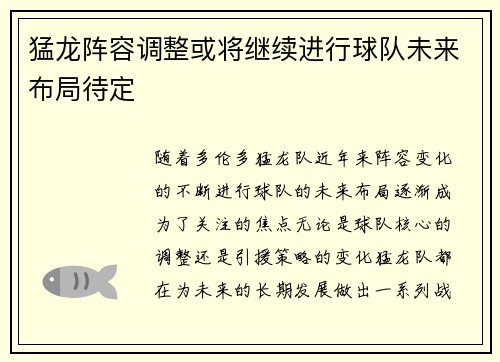 猛龙阵容调整或将继续进行球队未来布局待定