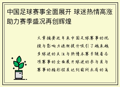 中国足球赛事全面展开 球迷热情高涨助力赛季盛况再创辉煌