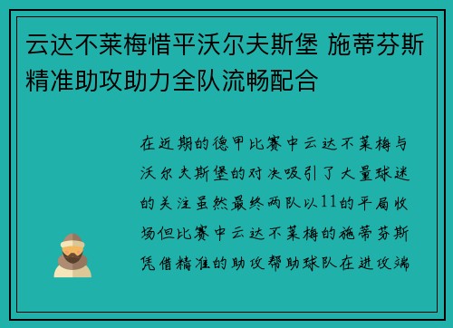 云达不莱梅惜平沃尔夫斯堡 施蒂芬斯精准助攻助力全队流畅配合